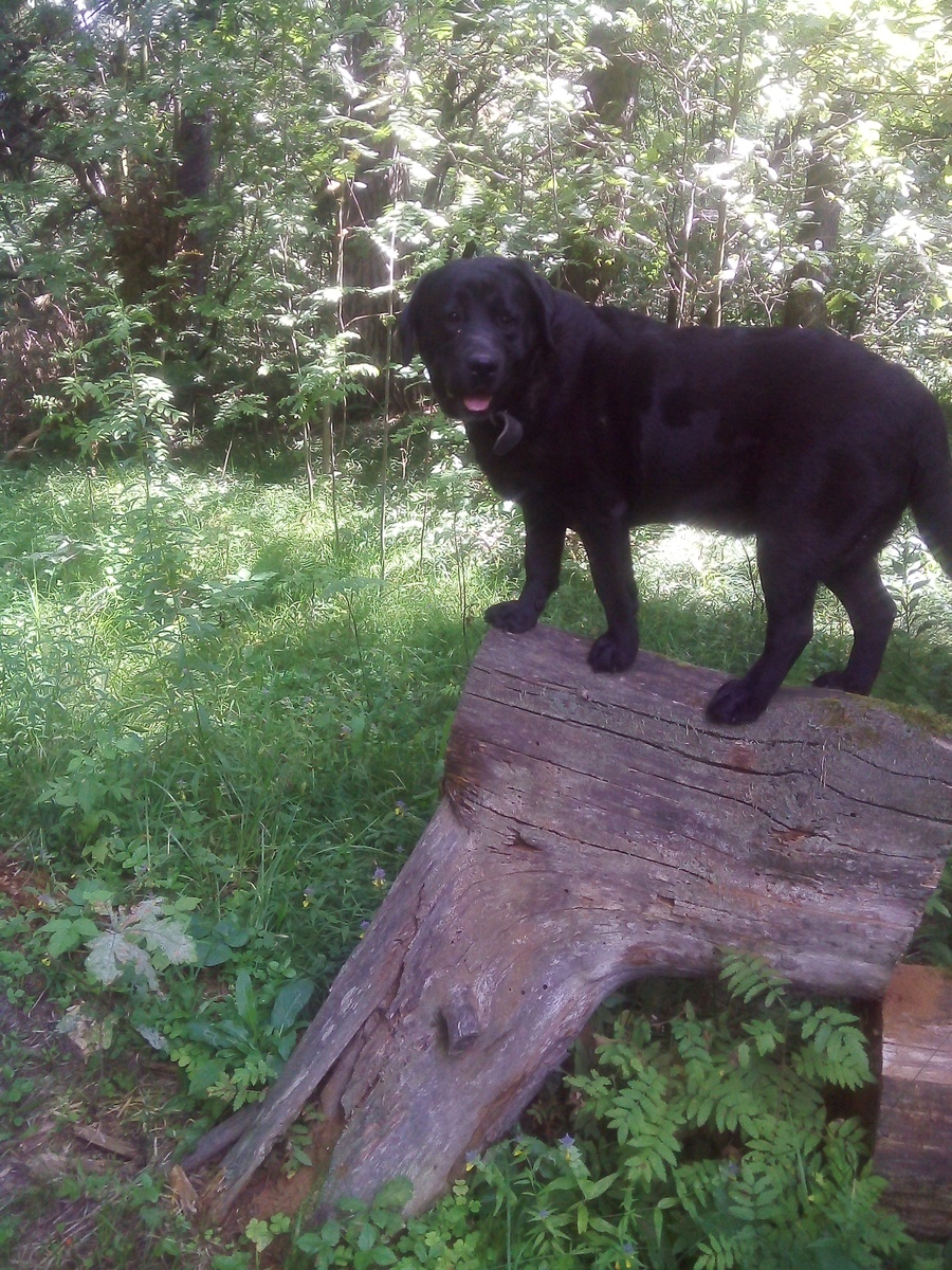 Фото автора.