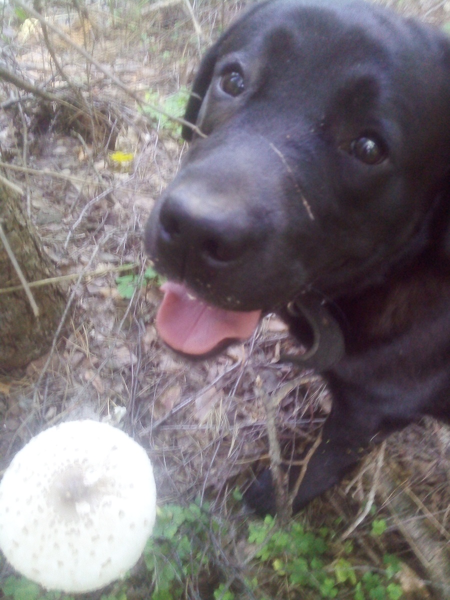 Фото автора.