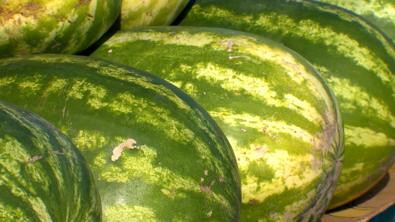    Телеканал "Санкт-Петербург" / АО "ГАТР"