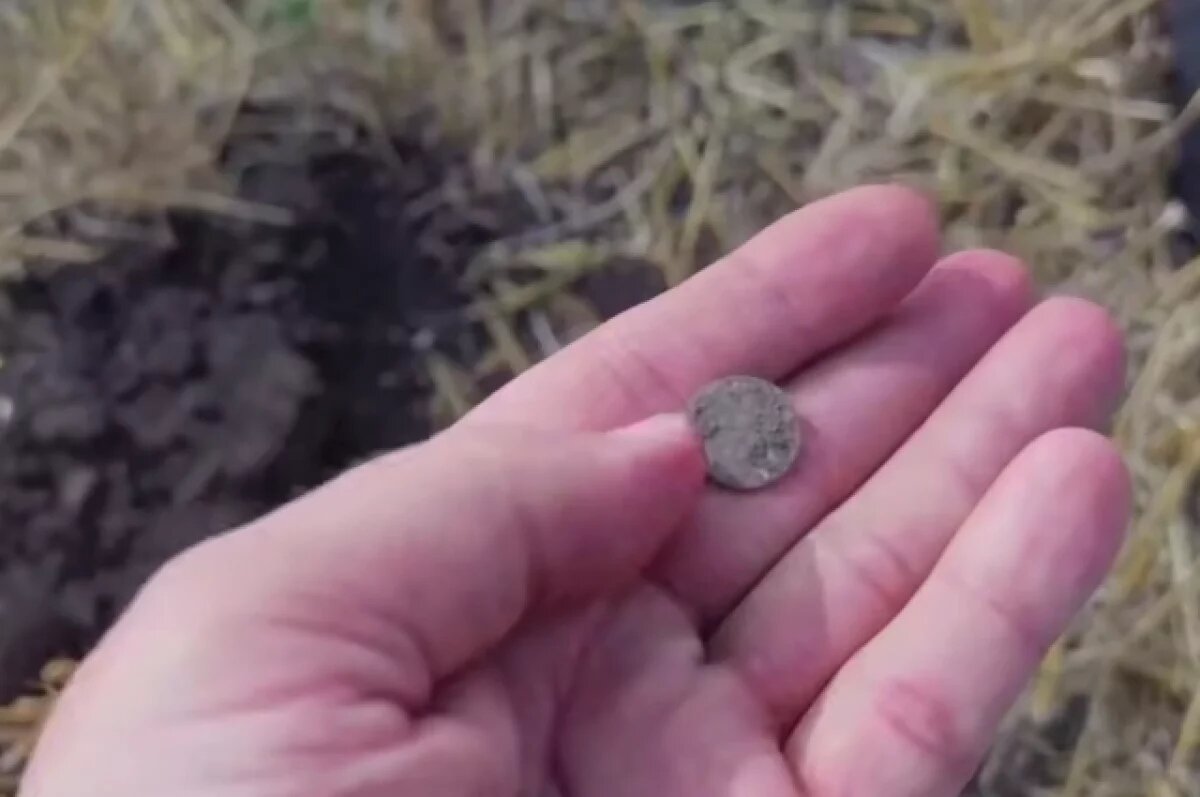    В Пензенской области «черные археологи» незаконно добыли десятки артефактов