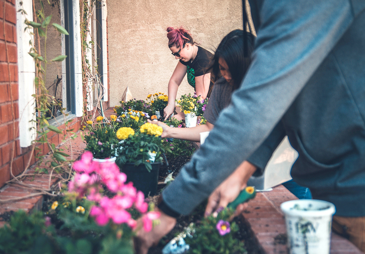 unsplash📷Рассчитать количество цветов для клумбы можно по следующей схеме: на 1 кв. м высаживают одно-два крупных растения, три — пять штук средних, не более десяти мелких и 9–15 почвопокровных видов