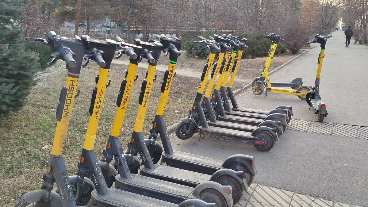    Фото: телеканал «Краснодар»