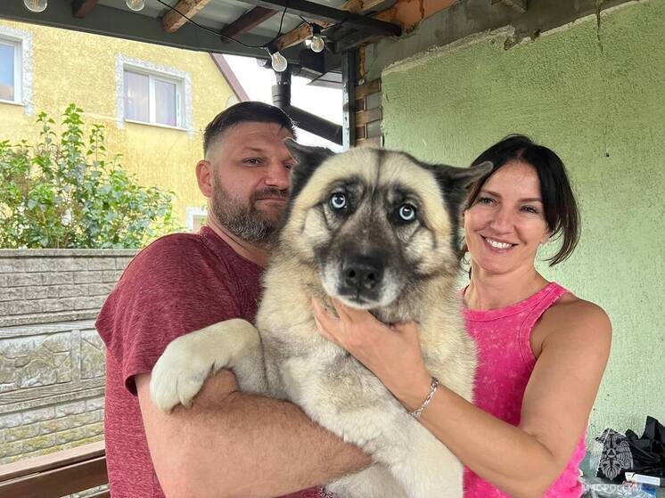     Фото: пресс-служба МЧС Калининградской области.