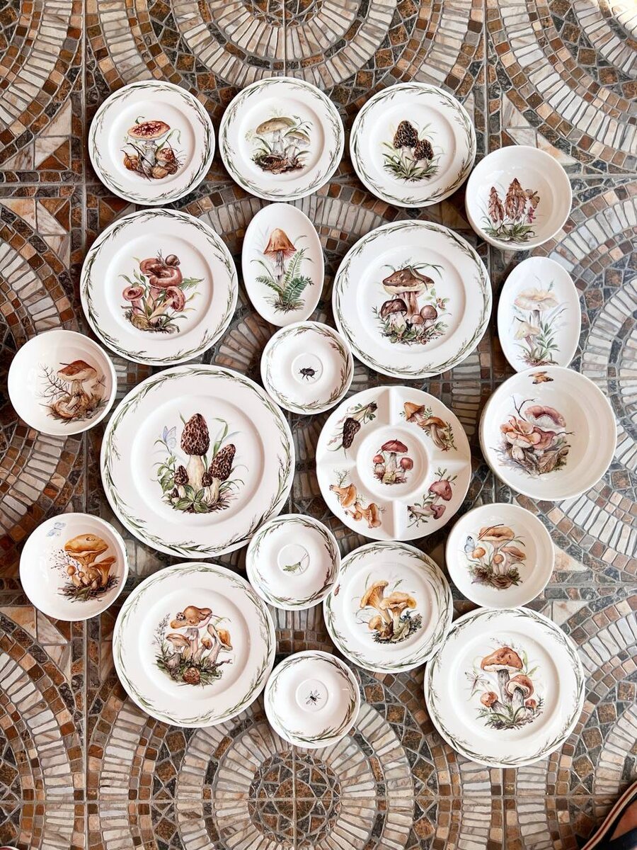 Царство грибов