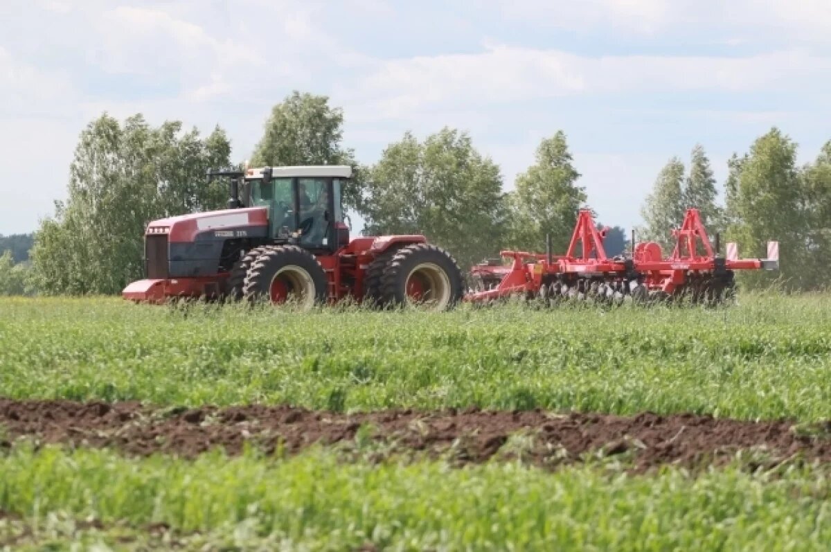    На агроферме нашли нарушения после жалоб жителей Прикамья на загрязнение