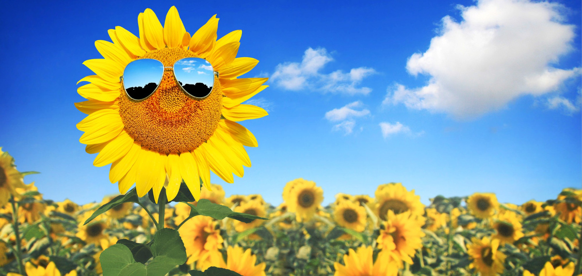 Как отдохнуть в августе?