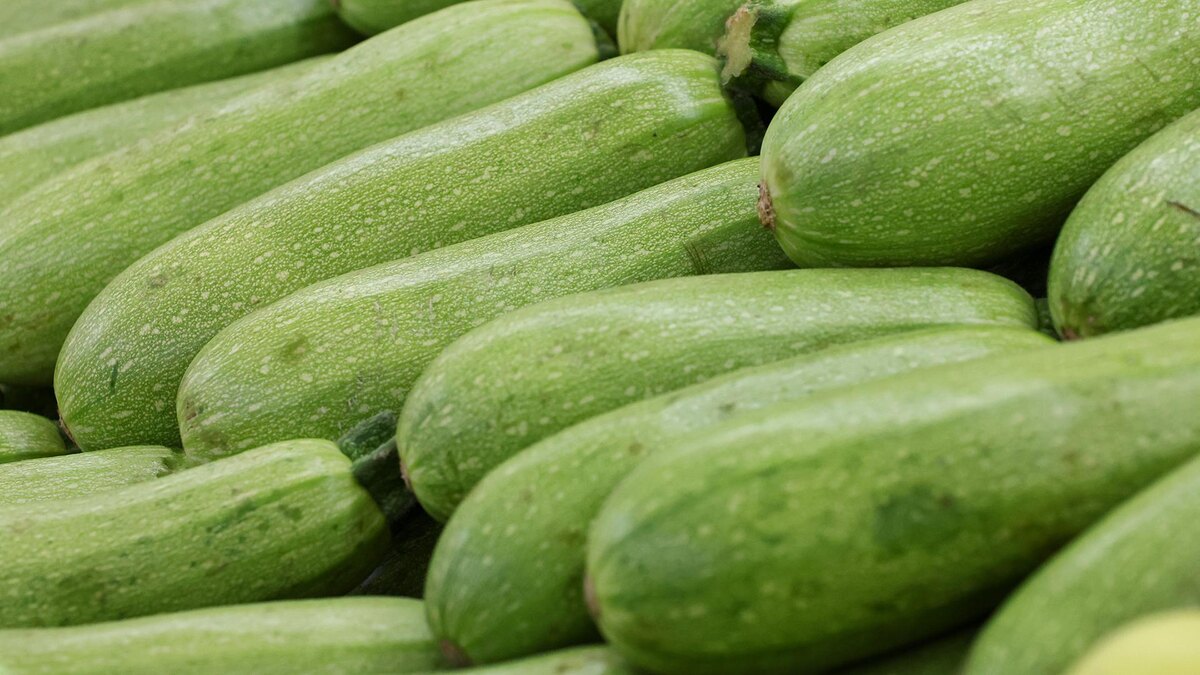 Фото: Belkin Alexey/globallookpress.com