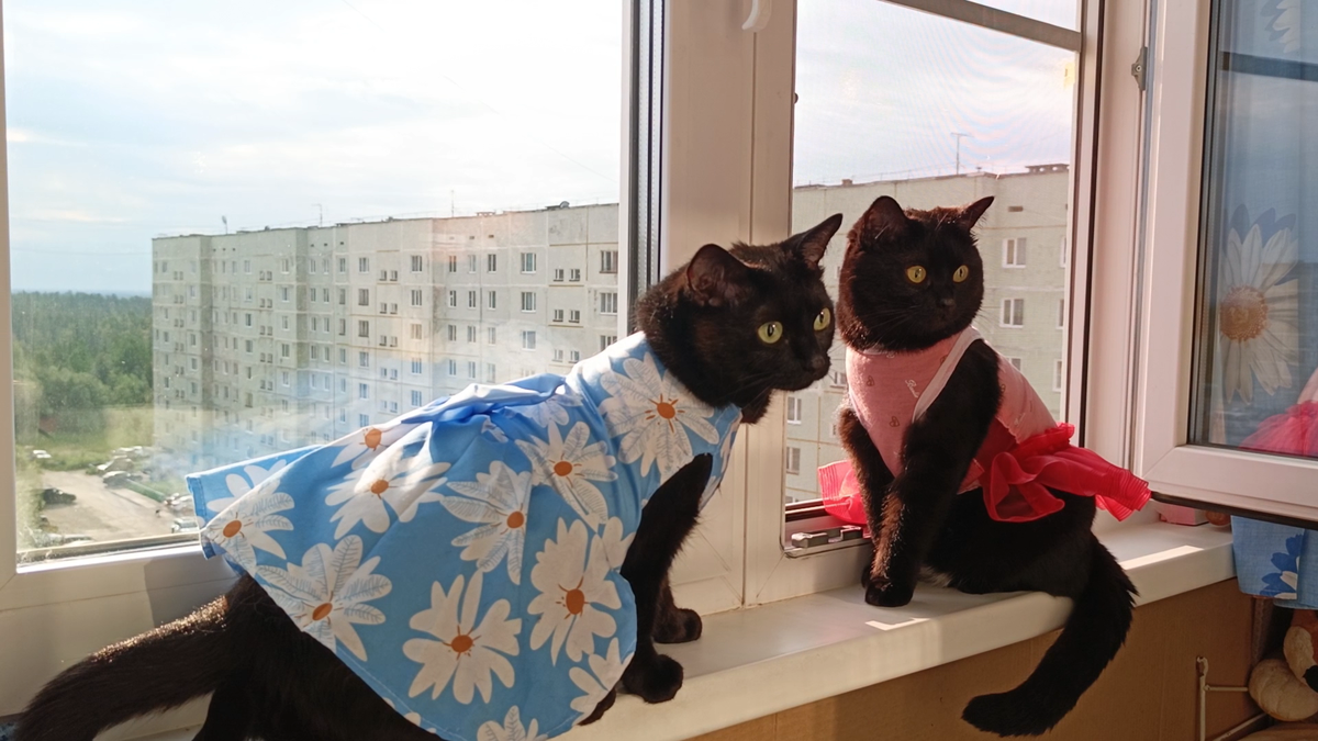 Боня в синем, Мусика в красном🥰