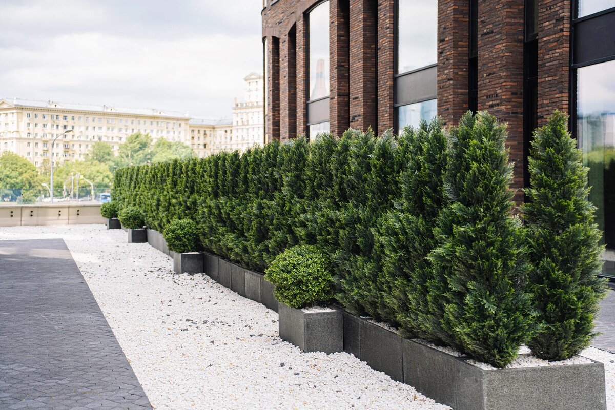 Выполнено декораторами Me Decor