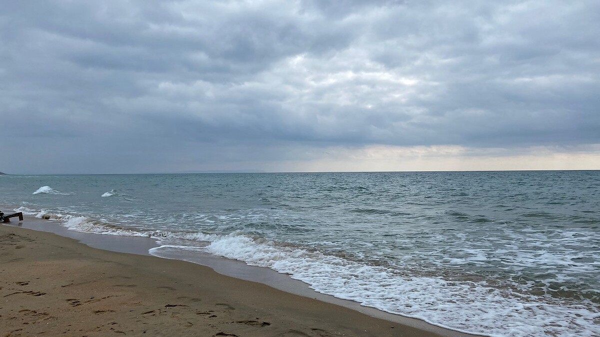    Фото: телеканал «Краснодар»