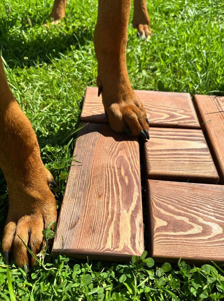 Фотография взята с сайта https://elitdrev.ru/