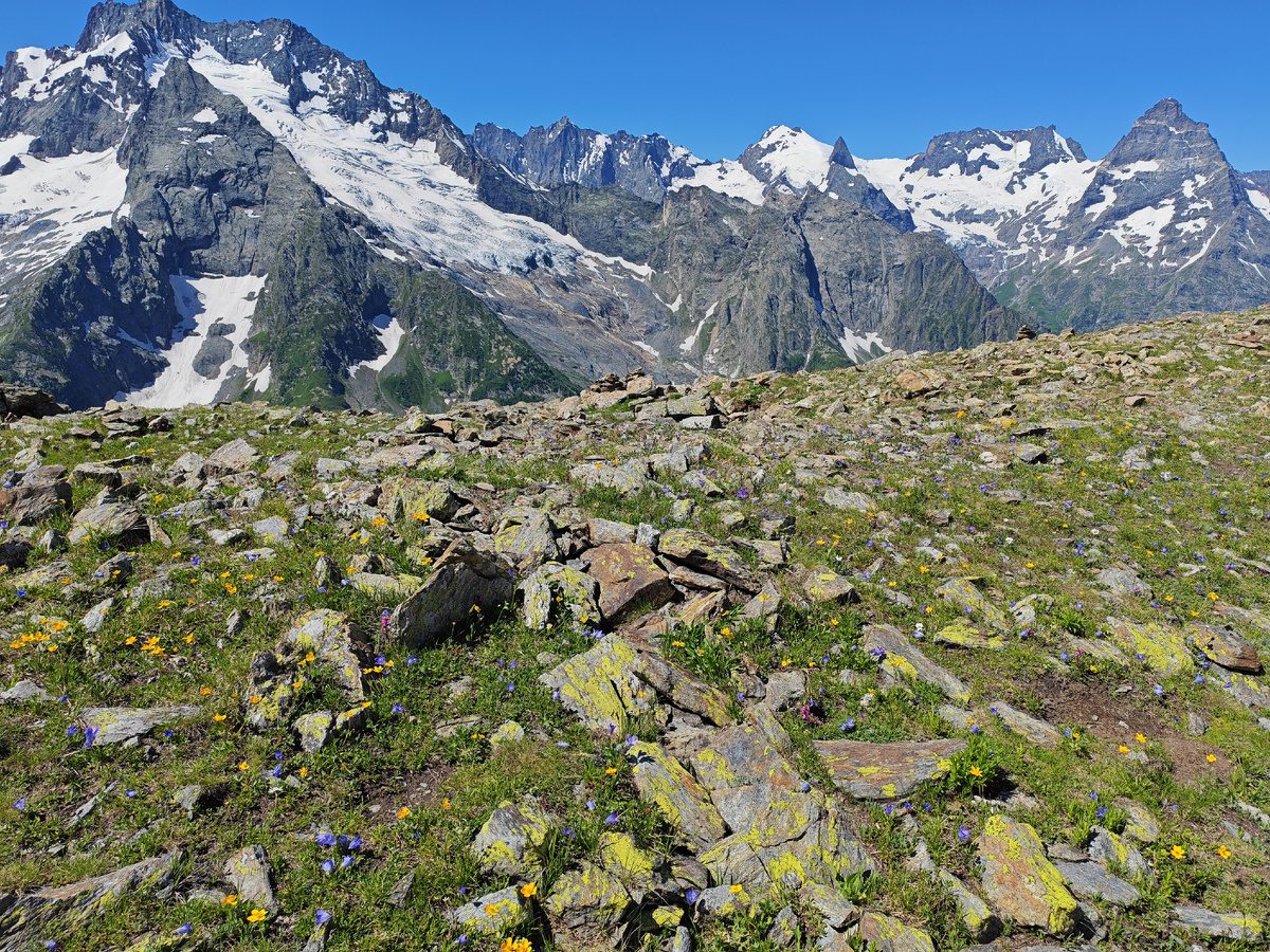 Цветочный калейдоскоп у ног великанов