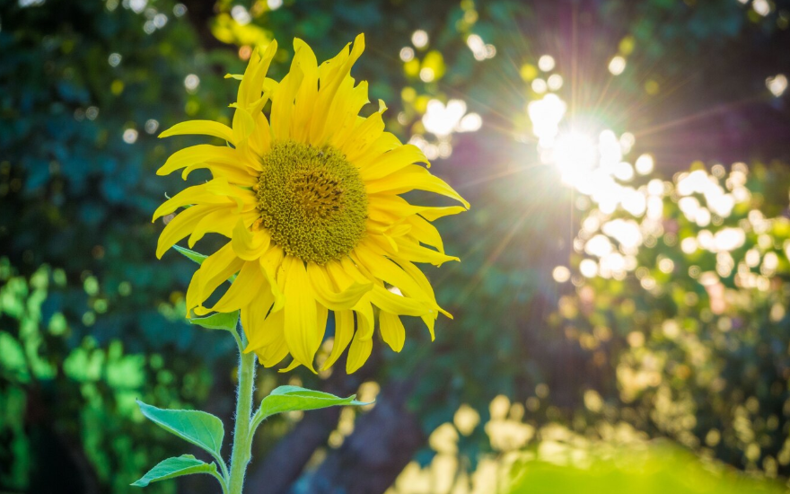 Фото: freepik / wirestock