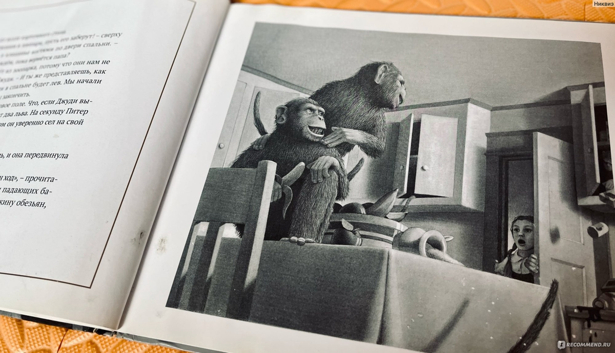 Фото из свободных источников.