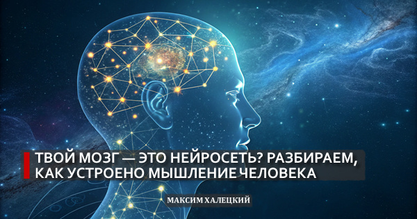 Твой мозг — это нейросеть? Разбираем, как устроено мышление человека