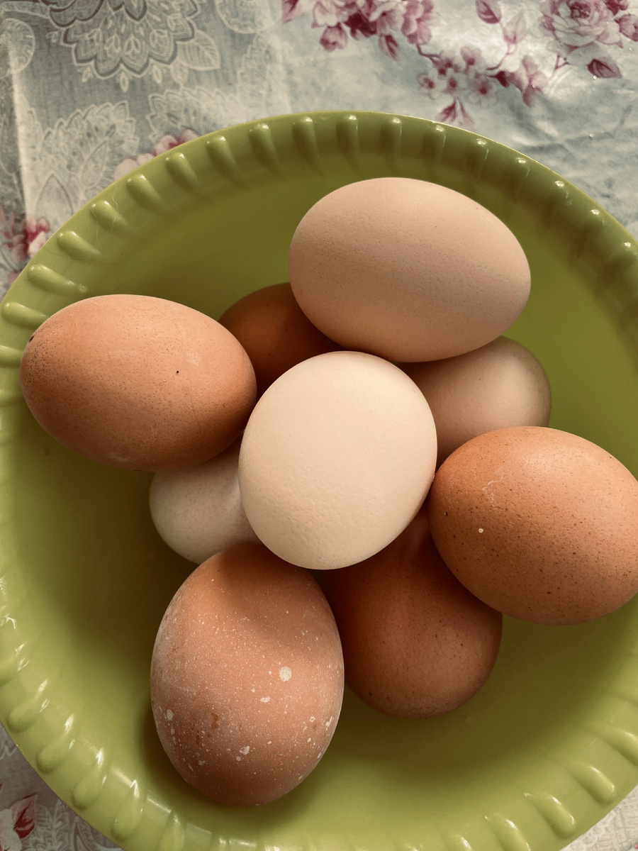 От наших курочек 