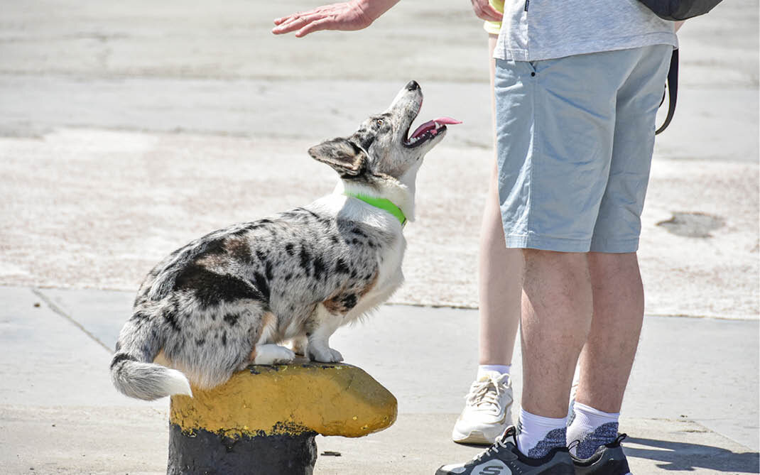 Фото: Михаил Гладчук