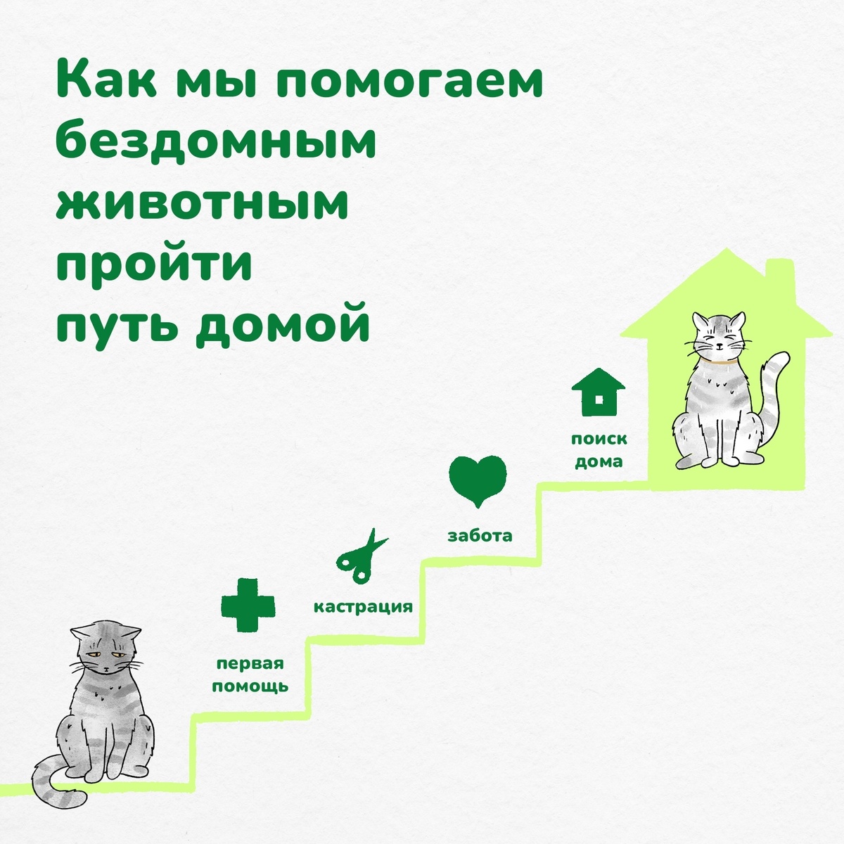 Лесенка помощи Инициативки