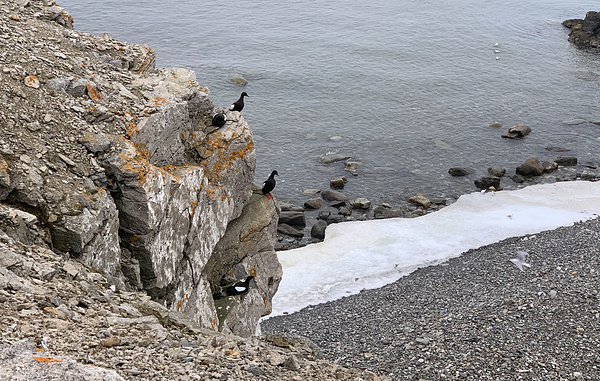 Ирина Скалина/ТАСС