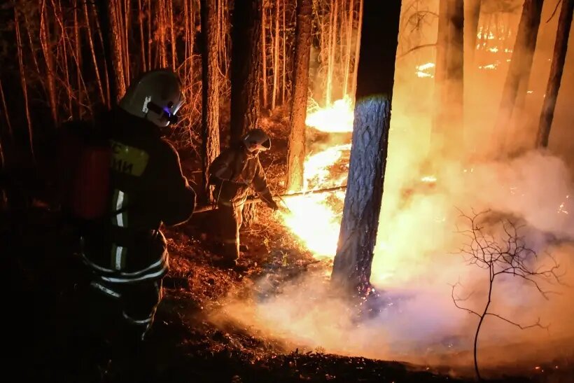     © РИА Новости. Евгений Епанчинцев