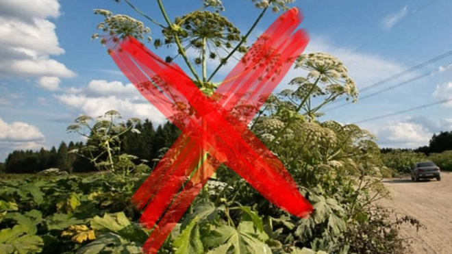 Фото: Александр Дрозденко/telegram