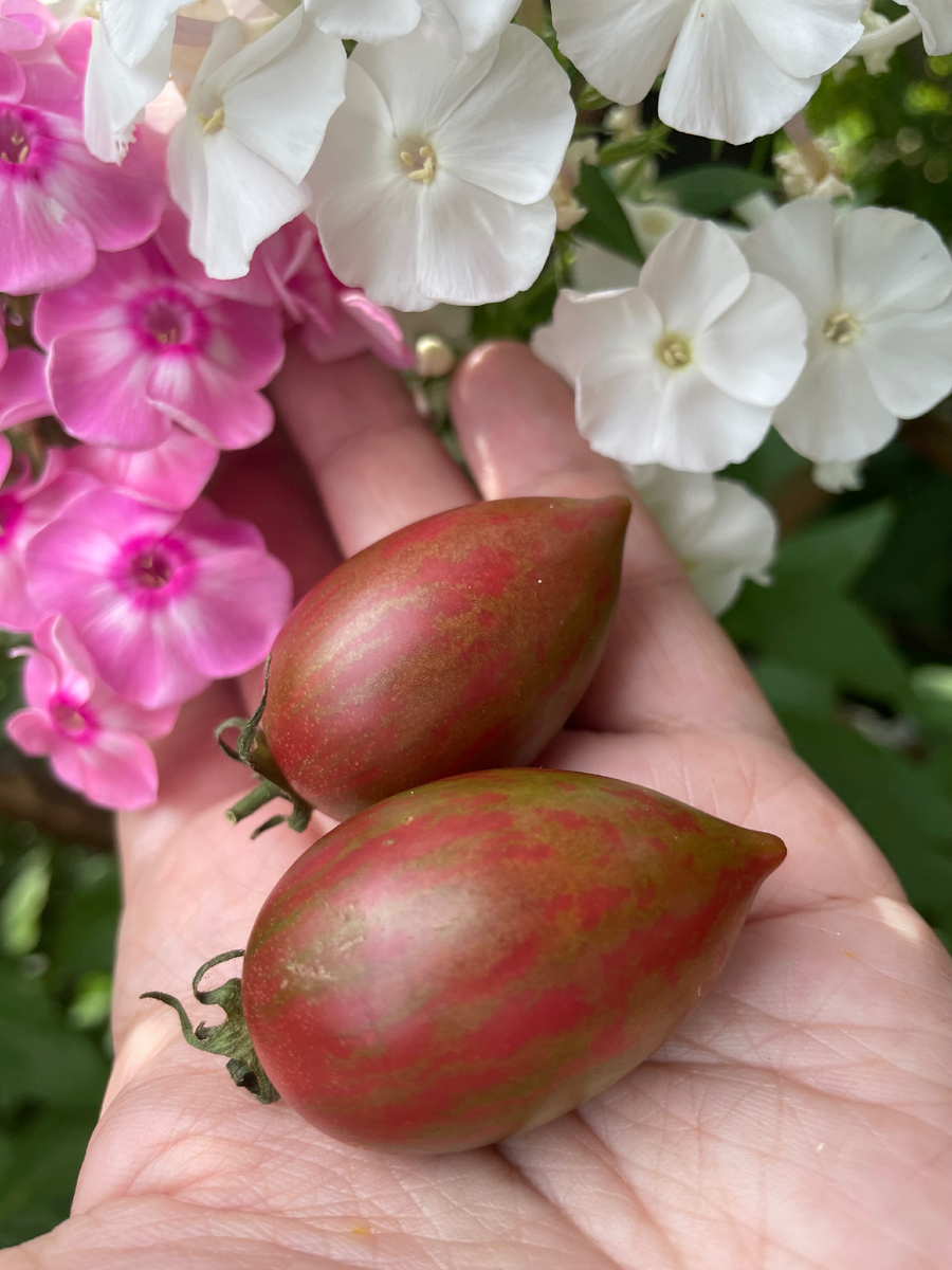 Конфеты сладкие сосульки 