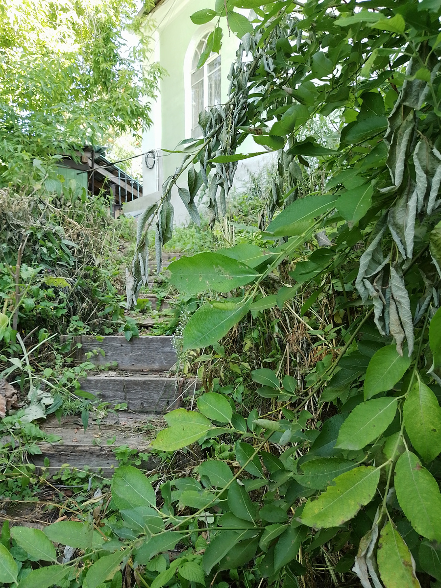 На задворках храма