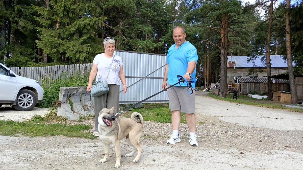 Вот он - звездный миг малыша Спайка!