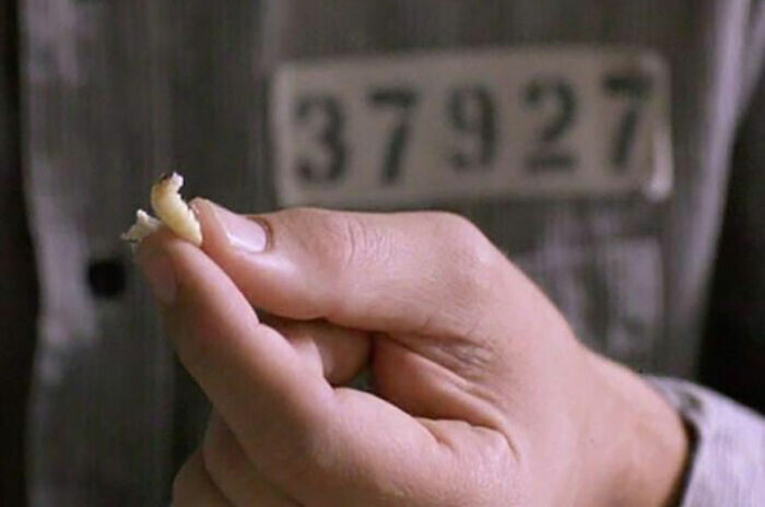 кадр из фильма