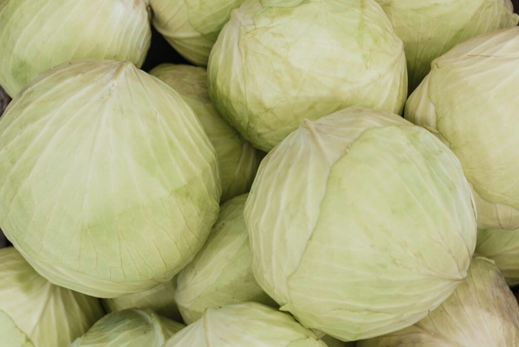    Фото: Arina Krasnikova: Pexels