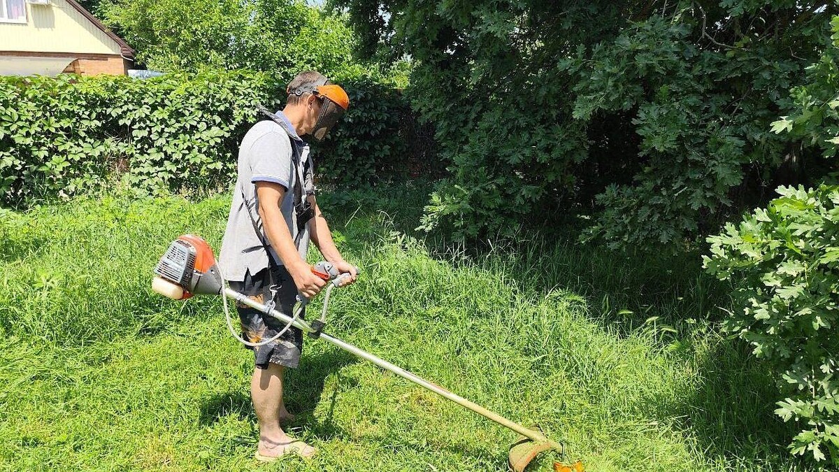    Фото: пресс-служба администрации Краснодара