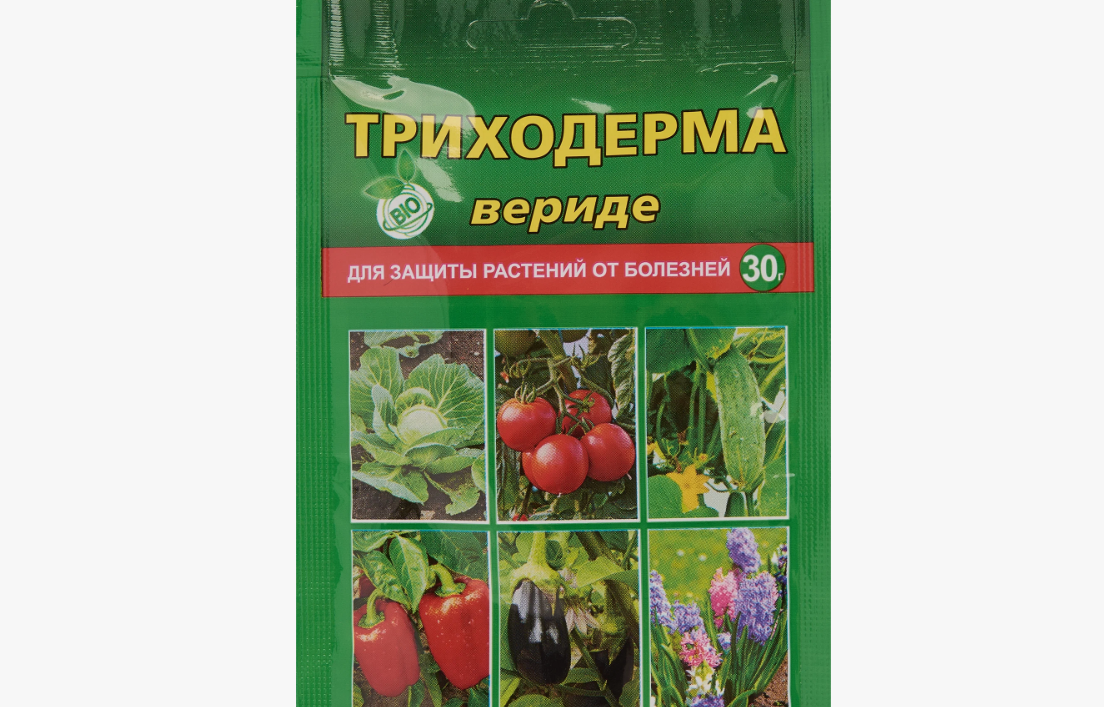 триходерма вериде