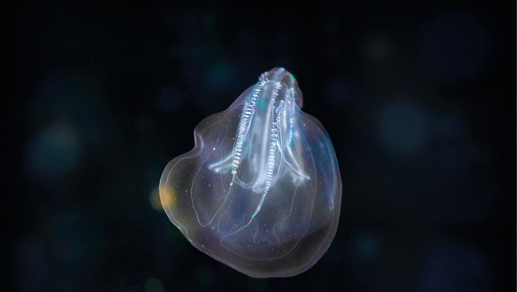 Фото Юлии Баяндиной