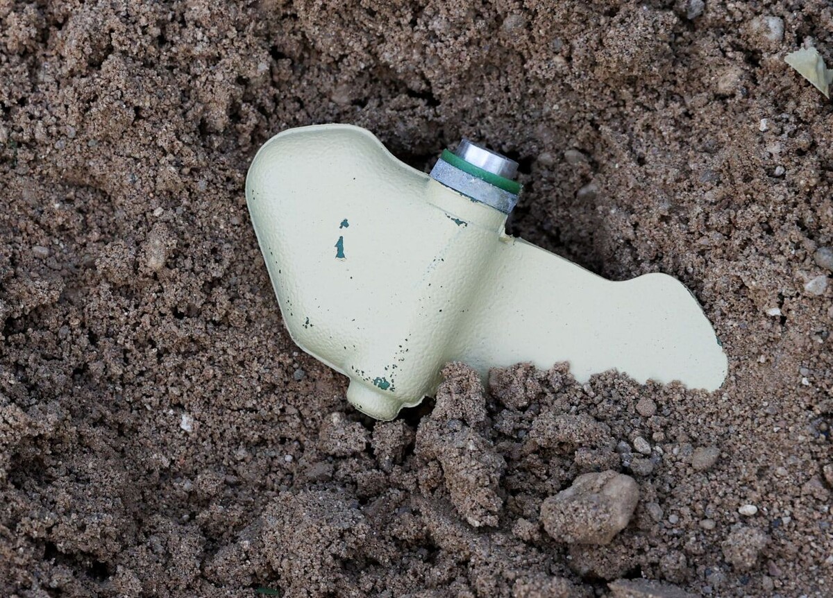     / Источник: © Bulkin Sergey/Global Look Press