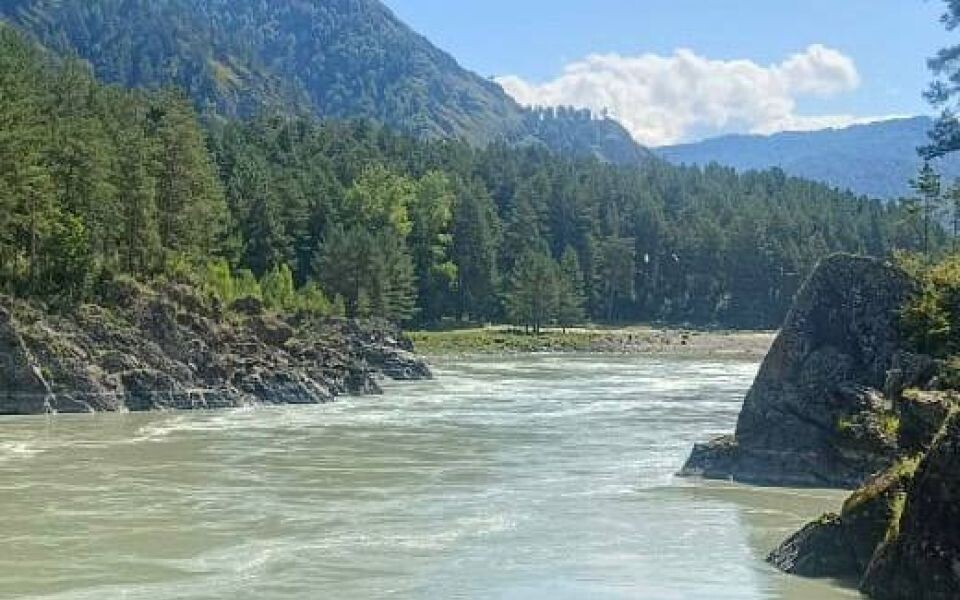    Чемальский район