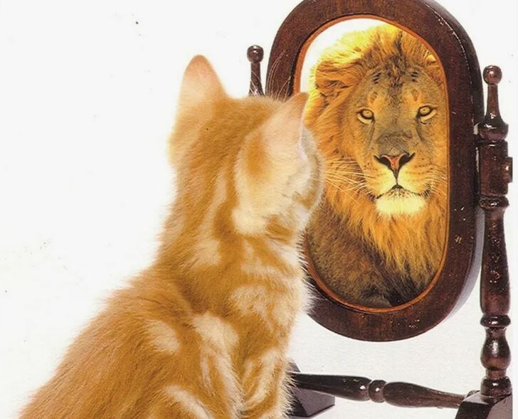 Источник фото: ЯндексКартинки