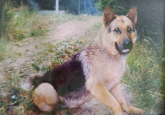 Мой любимый и ласковый мальчик - Цезарь.