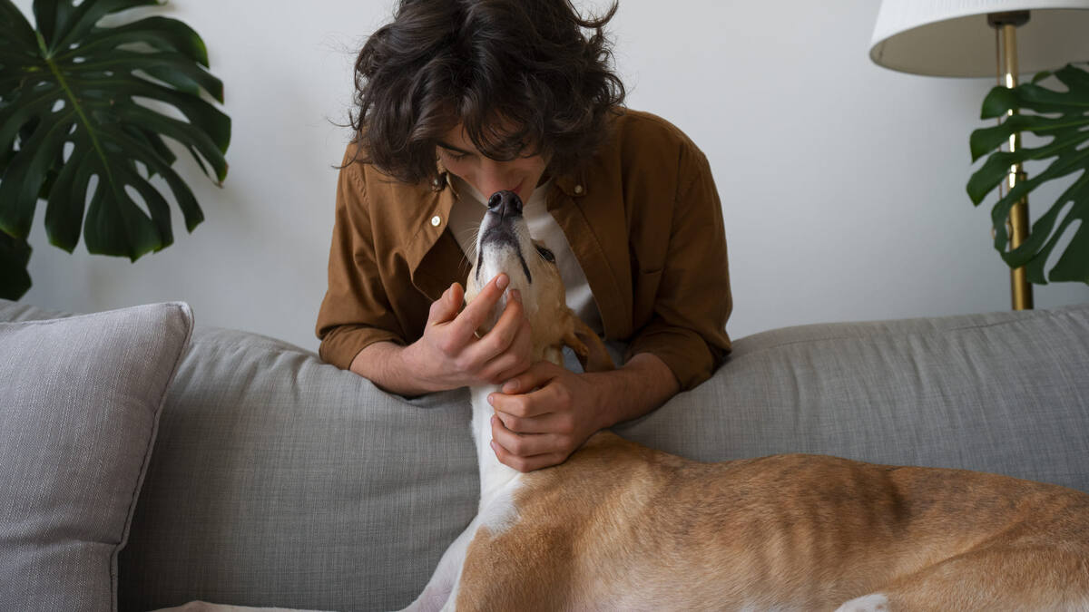    Топ-10 гипоаллергенных собак. Фото: Freepik