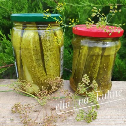 Автор Элла Дементьева ✓Амбассадор