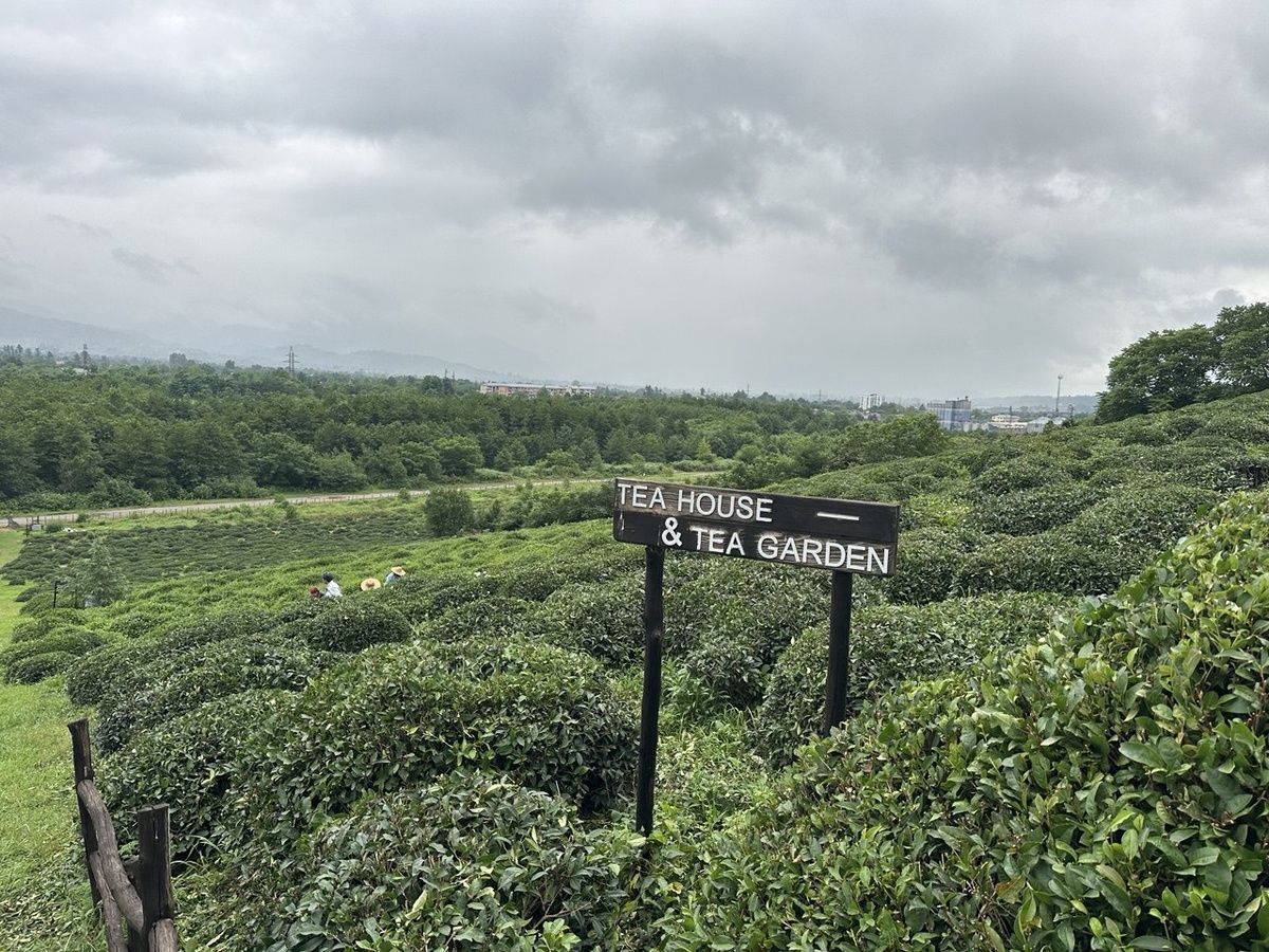 Было пасмурно, и я боялась, что, если начнется дождь, нас откажутся принять, но выяснилось, что погода экскурсии не помеха