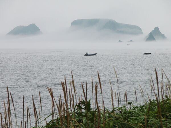 Природа Курильских островов.
© РИА Новости / Сергей Кривошеев / Перейти в медиабанк