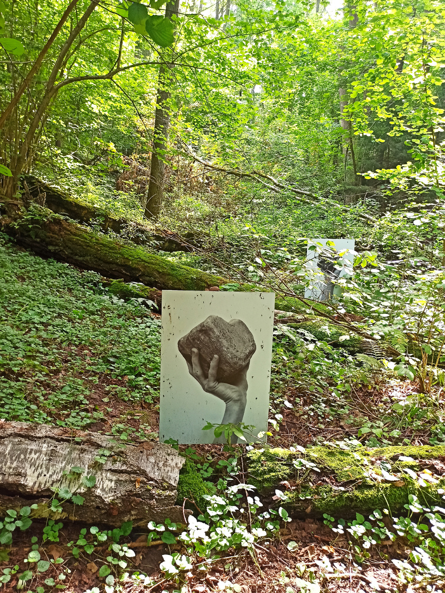 Художественная составляющая тропы. Мне многие объекты понравились, хотя это уже не синрин-йоку в чистом виде. От леса они отвлекают.