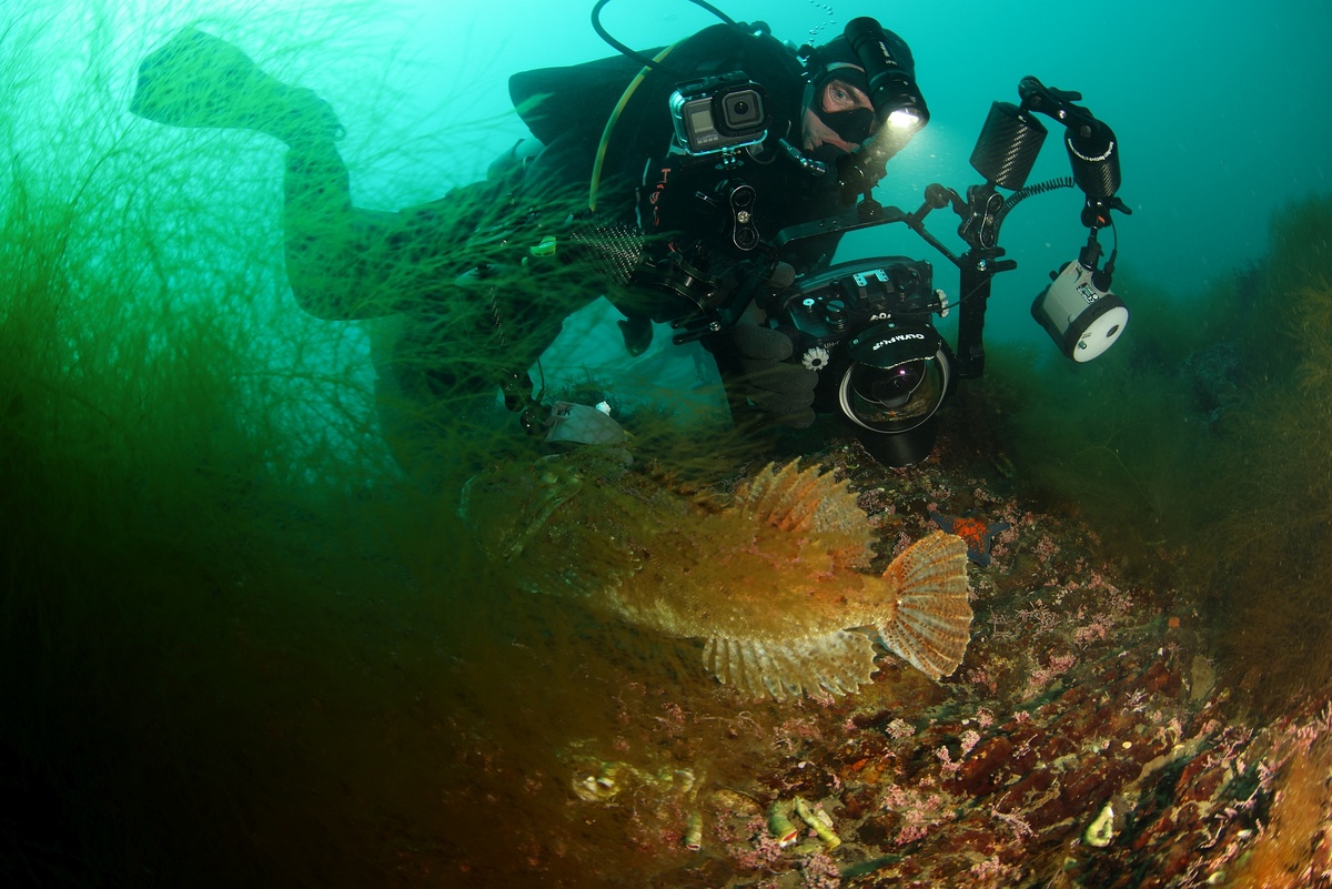 Здесь по сравнению с предыдущим кадром отработала одна вспышка справа. У фотографа комплект AOI под Olympus с двумя вспышками Inon 240