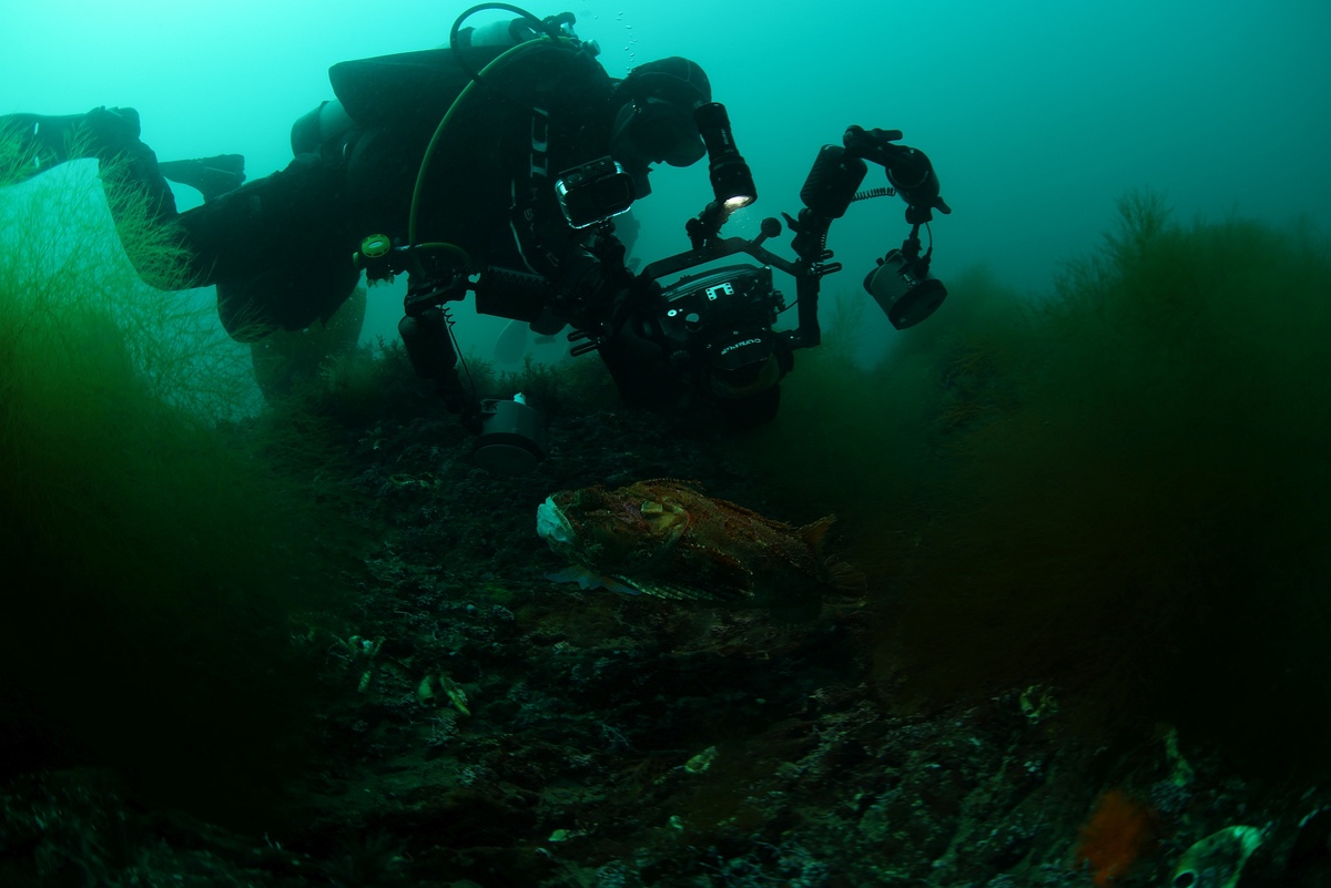 Вот так выглядит кадр когда вспышка не сработала по каким-то причинам (например батарейка села). Следующий кадр, та же сцена но с одной вспышкой. 