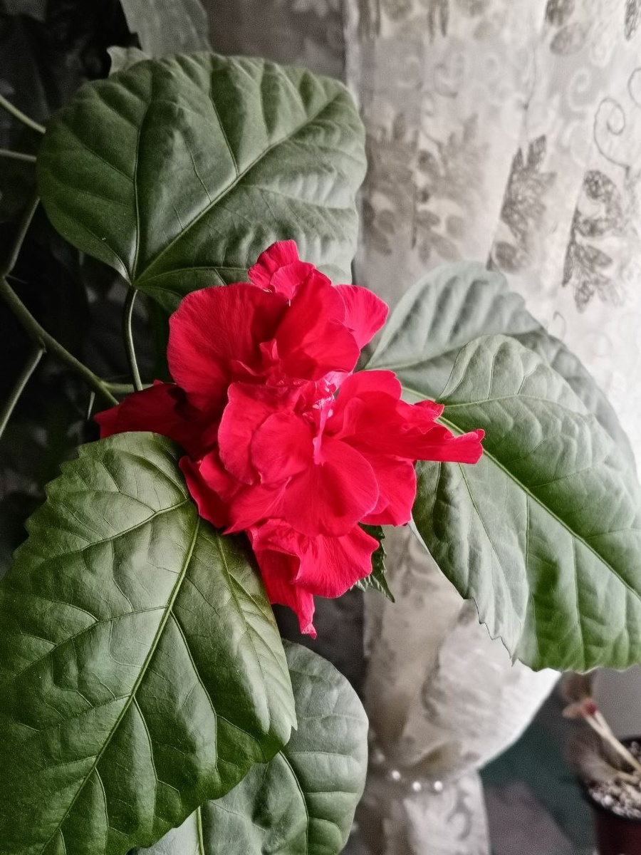 это с другого ракурса,поэтому и кажется что темнее