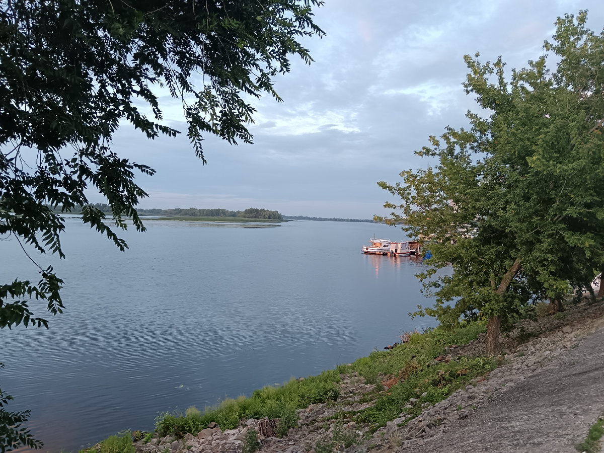 Дом находился в трёх минутах ходьбы от берега реки. Фото автора.