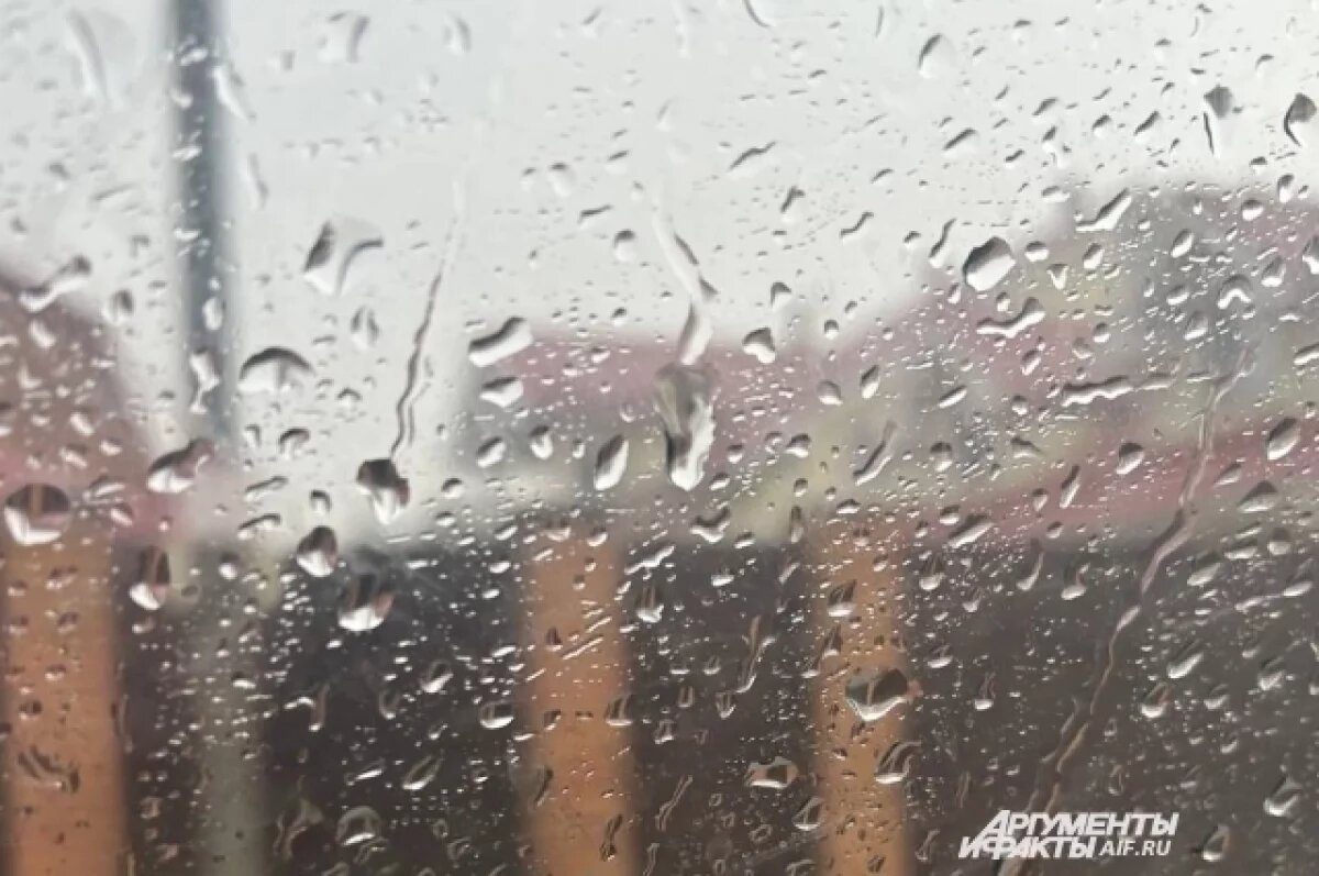    Стало известно, какой будет погода на день ВДВ в Петербурге