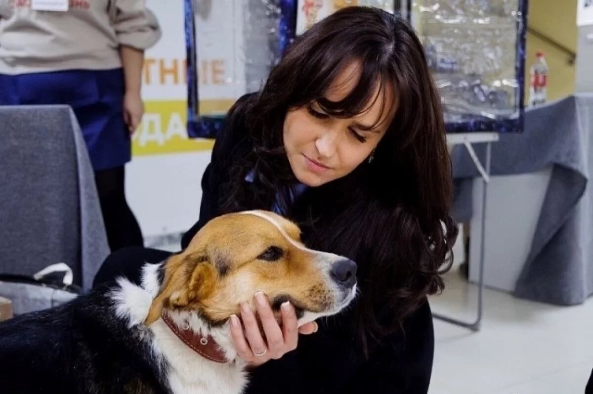    Две новые ветеринарные аптеки откроются в Локне и Великих Луках