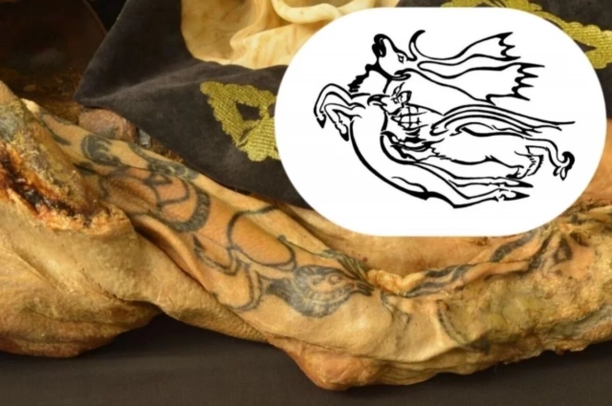    Ученые получили максимально точки рисунки татуировок на теле «алтайской принцессы».