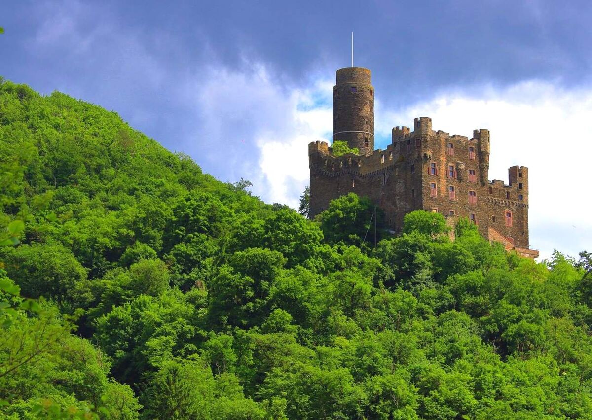 Германия, замок Маус. Источник: Яндекс картинки